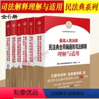 [正版]6本套 人民法院民法典司法解释理解与适用系列 合同编通则/总则编/继承编/婚姻家庭编/担保制度/时间效力 人民