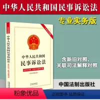 [正版]2023年修 中华人民共和国民事诉讼法 专业实务版 含新旧对照关联司法解释对照 2023新修订民诉法 法制出版