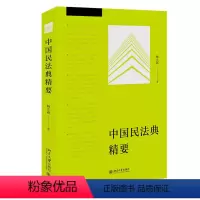 [正版]北大版新书 中国民法典精要 杨立新 北京大学出版社9787301316269