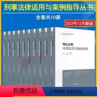 [全套10册]刑事法律适用与案例指导丛书 [正版]全套10本 刑事法律适用与案例指导丛书 胡云腾 刑法总则刑事诉讼金融毒