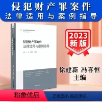 [正版]新书2024适用侵犯财产罪案件法律适用与案例指导 徐建新 冯喜恒刑事法律适用与案例指导丛书 人民法院出版社97
