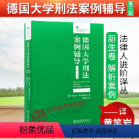 [正版]2020新 德国大学刑法案例辅导 新生卷 第三版 法律人进阶译丛案例研习 处理刑法案例技巧 法律知识读物 法学