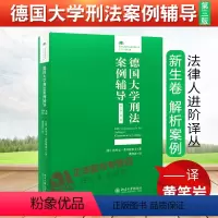 [正版]2020新 德国大学刑法案例辅导 新生卷 第三版 法律人进阶译丛案例研习 处理刑法案例技巧 法律知识读物 法学
