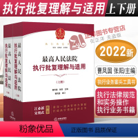 [正版] 2022新 人民法院执行批复理解与适用 上下册 曹凤国 张阳 执行法律规范和实务操作执行业务书籍法律出版