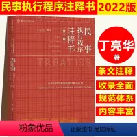 [正版]2022新版麦读 民事执行程序注释书 第二版 丁亮华 著 司法解释司法文件 指导性参考性案例及其理解与适用 法