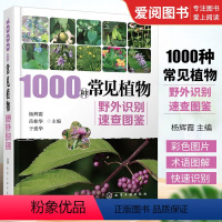 [正版]1000种常见植物野外识别速查图鉴 杨辉霞 化学工业出版社 图解中草药大全 家庭书籍野外识别原植物鉴别图册中国