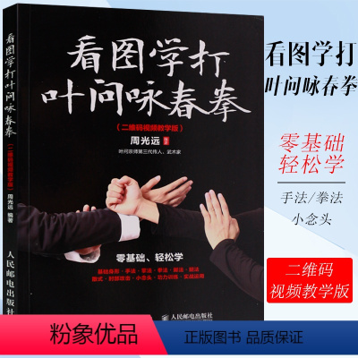 [正版]看图学打叶问咏春拳 视频教学版 叶问咏春拳书籍 截拳道李小龙 咏春拳技击原理 基础身法与拳法咏春拳入门级练习参