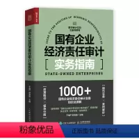 [正版]国有企业经济责任审计实务指南 国企审计工具书财务报告会计财务报表普华审计实务工具书籍