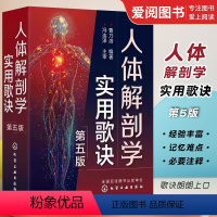 [正版]人体解剖学实用歌诀 第五版 曹乃洛 人体穴位分布图谱 人体器官解剖临床医学书 人体构造结构书籍