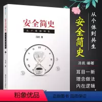 [正版]安全简史 从个体到共生 汤凯著 管理理论生产与运作管理书籍