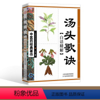 [正版]汤头歌诀白话精解中医药经典著作中医健康良方配方国学典藏中医保健食疗食养药学中医书八百张手绘 方剂中医良方药材图