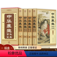 [正版]中华养生百科宝典全4册 中华养生秘笈中医养生书籍大全养身保健书籍中华好养生中华养生秘籍四季养生书籍食疗中药书中