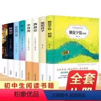 全套8册[朝花夕拾+西游记+骆驼祥子+海底两万里+昆虫记+钢铁是怎样炼成的+水浒传+简爱] [正版]骆驼祥子海底两万里全
