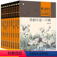 [全9册]曹文轩 草房子全集 [正版]全9册曹文轩草房子画本系列秃鹫不是一只鹤天空的花环四五六年级课外书中小学生语文课外