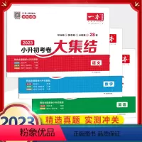 小升初考卷大集结(语+数+英) 小学升初中 [正版]2024一本小学语文毕业升学阅读训练100篇六年级阅读理解训练上下册