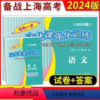 2024高考一模语文+答案 语文 [正版]2018-2024年版领先一步文化课强化训练 语文 上海高考语文一模卷试卷+答