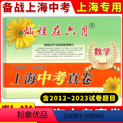 [正版]2024版灿烂在六月上海中考真卷 数学 2012-2023 十二年上海中考真题汇编 含答案 初中初三九年级真卷