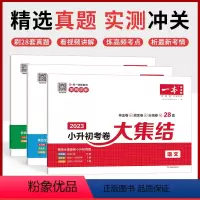 小升初考卷大集结语数英 小学升初中 [正版]2025小学知识大盘点语文数学英语基础知识大全四五六年级考试总复习资料书知识