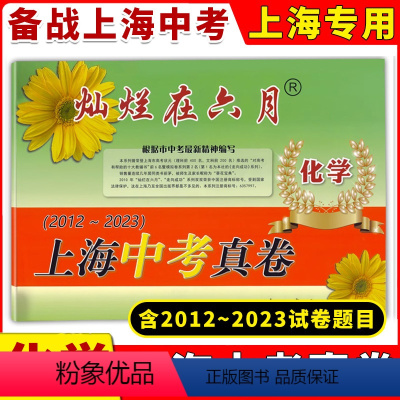[正版]2024版灿烂在六月上海中考真卷 化学 2012-2023 十二年上海中考真题汇编 含答案 初中初三九年级真卷