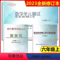 数学堂堂练6上书+卷+答案 初中通用 [正版]2024 初中数学物理化学单元测试双基过关堂堂练 测试与评估 复习点要 书