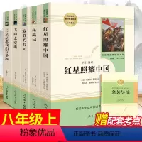 套装5本 红星照耀中国+昆虫记+寂静的春天+飞向太空港+星星离我们有多远 [正版]红星照耀中国和昆虫记原著bi读名著人教