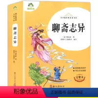 爱德教育 青少版经典名著书库 聊斋志异 完整版全译本 老师推阅的中小学生青少年版名著课外阅读书目名师导读 [正版]爱德教
