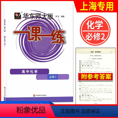 化学 高一下 [正版]2023华东师大版一课一练高中化学必修2第二册 高一下册/高一年级第二学期 一课一练化学必修二