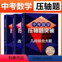 选择填空+坐标系内+几何综合大题(全3册) [正版]全3册新版中考数学压轴题突破 选择填空压轴小题+坐标系内的几何代数+