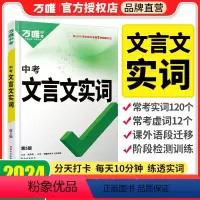 [文言文实词]实虚词[练习版] >1本 初中通用 [正版]初中文言文实词虚词专项训练阅读理解全解七八九年级初一初二初三资