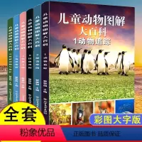 [抖音同款]儿童动物图解6册 [正版]儿童动物图解大百科全6册 彩图大字版儿童海洋动物昆虫恐龙百科全启蒙认知幼儿少儿一二