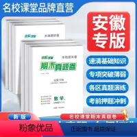 [4本]语文英语物理+数学沪科版 八年级下 [正版]安徽专版期末真题卷精编七年级下册试卷全套初中初一语文数学英语物理历史