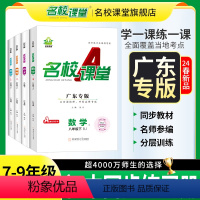 数学.人教版 广东省 八年级下 [正版]2024春新版广东专版七八年级语文数学英语物理下册RJ人教版同步练习册必刷题拓展