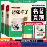 海底两万里+骆驼祥子[全2册必读]赠名著导练 [正版]名校课堂读书侠骆驼祥子和海底两万里原著必读老舍七年级下册的课外书初