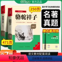 骆驼祥子+海底两万里[赠名著导练] [正版]名校课堂读书侠海底两万里原著必读完整版七年级下册的课外书初一7下名著初中阅读