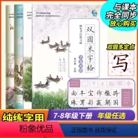 语文 七年级上 [正版]双圆米字格中学生硬笔书法练字帖楷书同步语文人教版小学古诗词字帖七八年级初一二下册学生练字本笠翁对