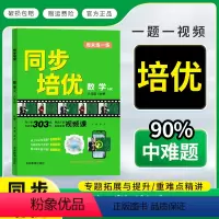 同步培优数学沪科版 八年级上 [正版]同步培优数学八年级上册HK沪科版名校课堂数学视频课提升专题单元期中期末综合训练初一