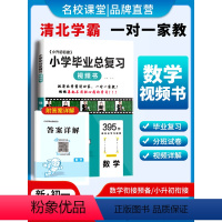 小学六年级 数学[395节清北学霸视频讲解课] [正版]2024名校课堂小学毕业总复习六年级数学小学毕业复习小学数学基础