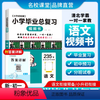 语文[235节清北学霸视频讲解课] 小学六年级 [正版]2024小学毕业总复习六年级语文数学英语小学毕业复习小学语数英基