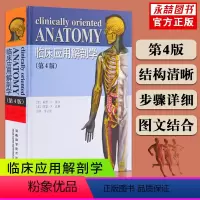 [正版] 临床应用解剖学第4版 莫尔达利李云庆医学解剖学经典著作 基础医学大量图片图文结合更直观解剖学河南科技出版社