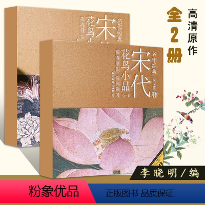 [正版]全套2册每300减40宋代花鸟小品画宋人小品禽鸟花卉山水人物李晓明经典名作国画作品放大白描底稿国画初学技法入门
