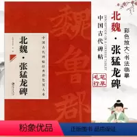 [正版]中国古代碑帖经典彩色放大本北魏张猛龙碑简体旁注行草楷书毛笔碑帖古代经典邱振中实战临摹练习技法 江西美术