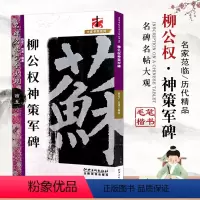 [正版]名碑名帖完全大观45柳公权神策军碑楷书碑帖名家书法基础实战临摹练习技能技法彩色放大对照分布详解江西美术出版社