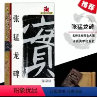 [正版]张猛龙碑名碑名帖完全大观28大家书院系列毛笔练字帖徐伟平王玉池著基础实战临摹练习偏旁部首分步详解江西美术出版