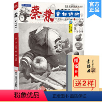 [正版]蔡兼送本+橡皮蔡兼素描静物2020沐尚文化几何体石膏像结构照片对画临摹范本基础入门教程美院高联考全集一本通美术