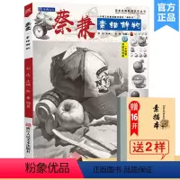 [正版]蔡兼送本+橡皮蔡兼素描静物2020沐尚文化几何体石膏像结构照片对画临摹范本基础入门教程美院高联考全集一本通美术
