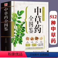 [正版]543页中草药全图鉴中国中草药实用图鉴拍摄彩色图谱版中医养生速查全图解本草纲目彩色图鉴药性赋鉴别与应用中药材百