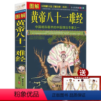 [正版]图解黄帝八十一难经译释中医基础理论入门皇帝黄帝内经医经含经络脏腑疾病腧穴针灸诊断自学扁鹊华佗灵枢素问伤寒论金匮