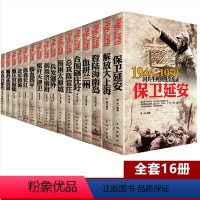 [全16册]1946-1950年国共生死决战全纪录丛书 [正版]全16册国共生死决战全纪录丛书保卫延安喋血四平解放大上海