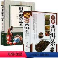 [正版]2册图解普洱茶+识茶泡茶品茶一本全 书籍