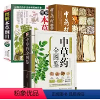 [正版]3册中草药全图鉴+中药材百科 +图解本草纲目 书籍